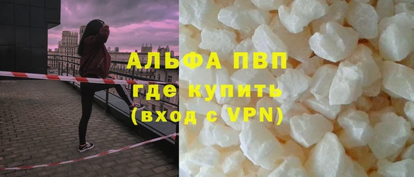 прущие грибы Арсеньев