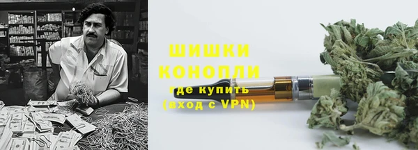 прущие грибы Арсеньев