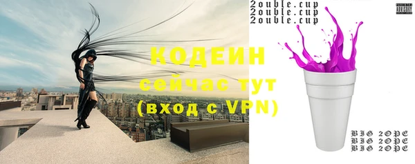 прущие грибы Арсеньев
