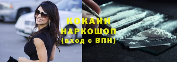 сатива Аркадак