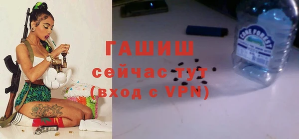 сатива Аркадак