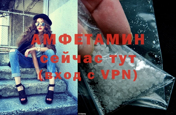 сатива Аркадак