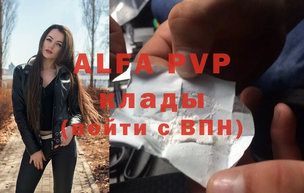 сатива Аркадак