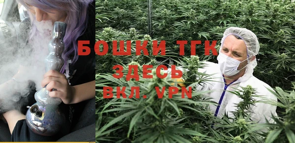 прущие грибы Арсеньев